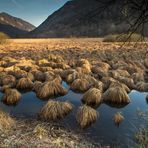 wetland