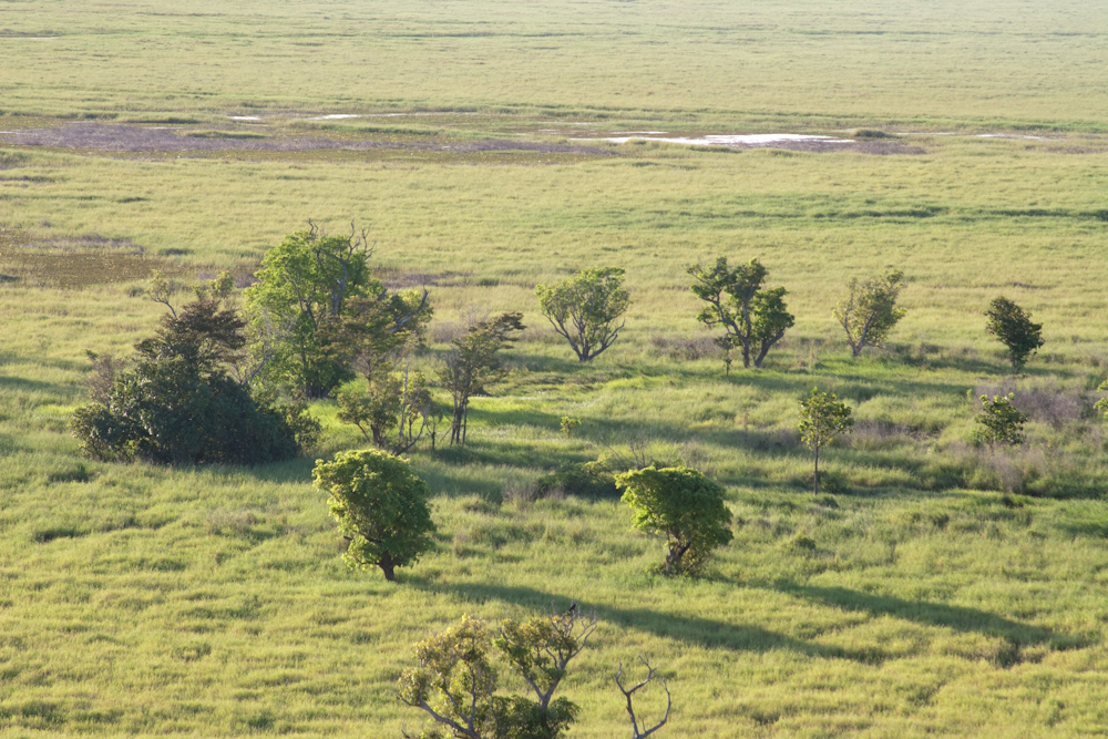 Wetland bei Ubirr