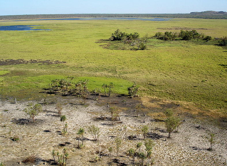 wetland colours