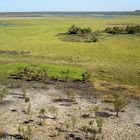 wetland colours