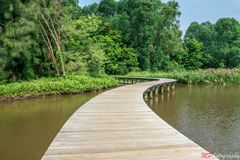 Wetland Park