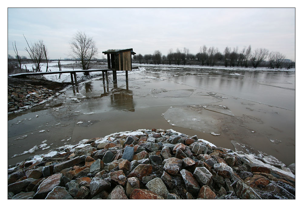 Wetlands Passewaaij