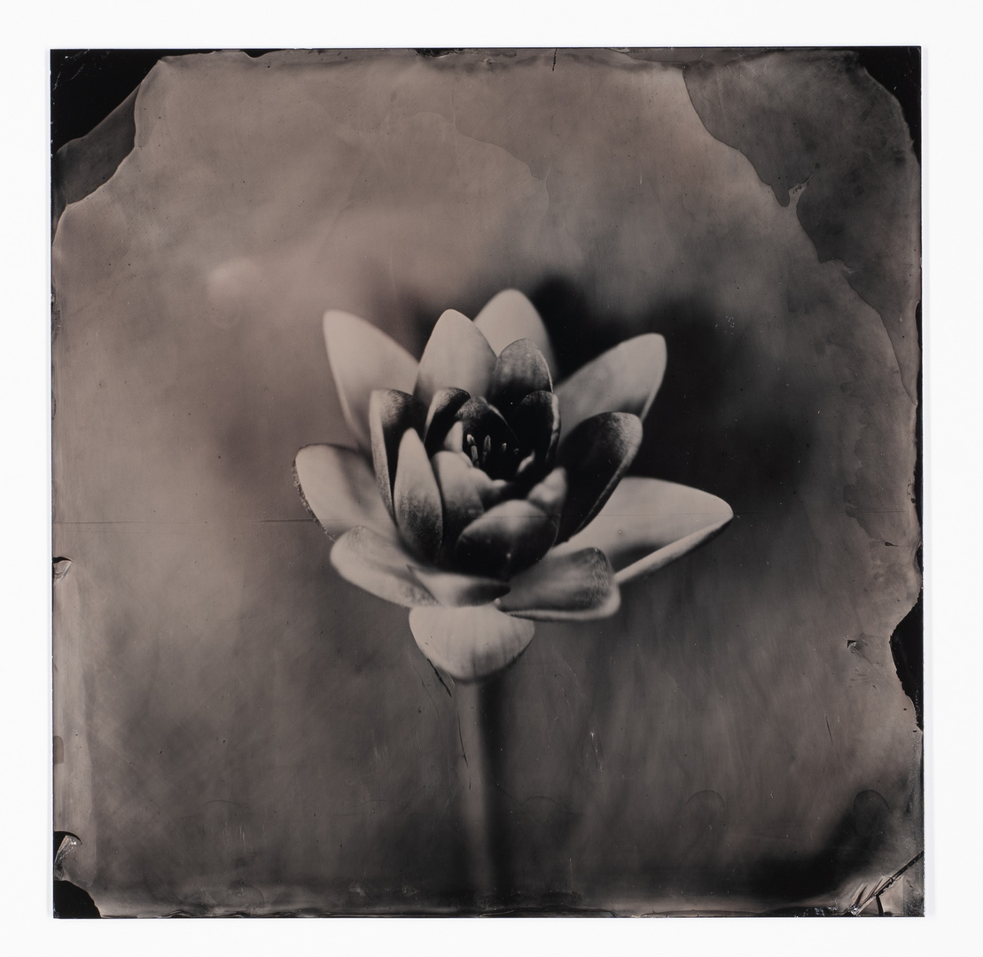 Wetplate