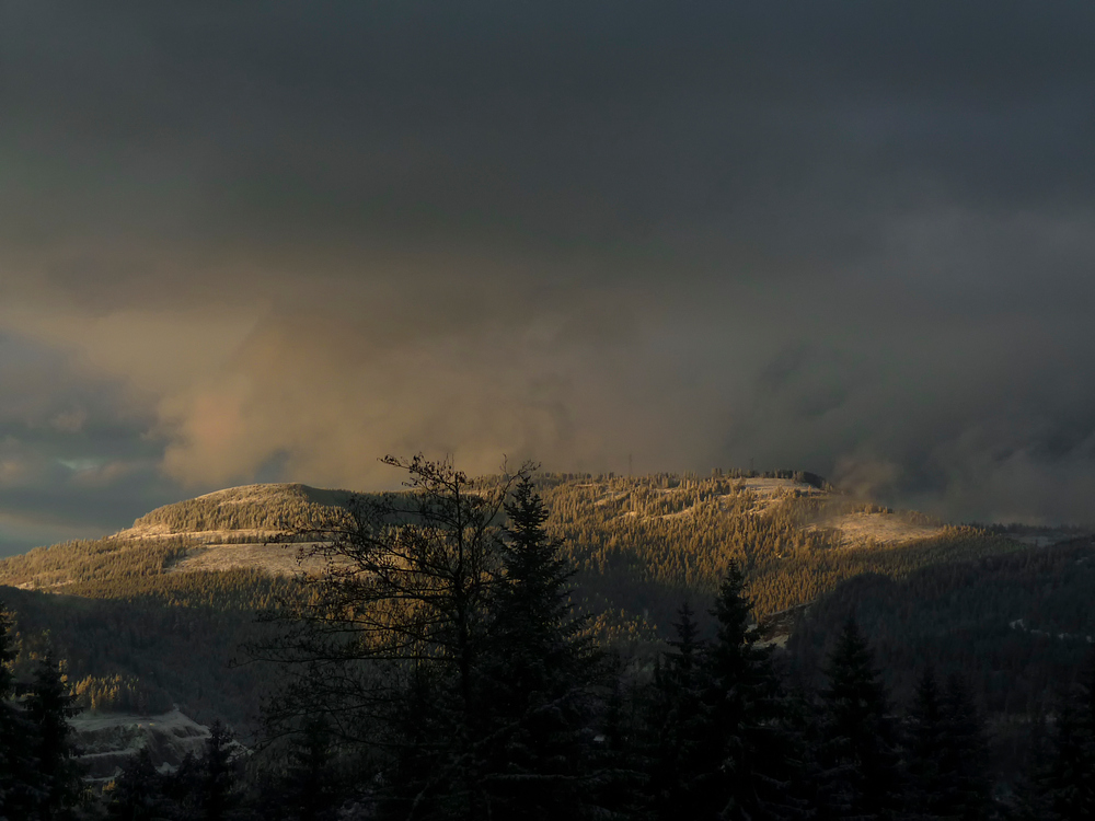 Wetter an der Hornisgrinde