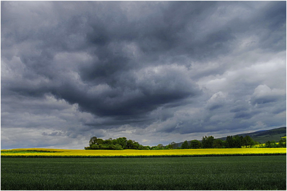 °wetter°