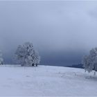 Wetter-Buchen-Panorama