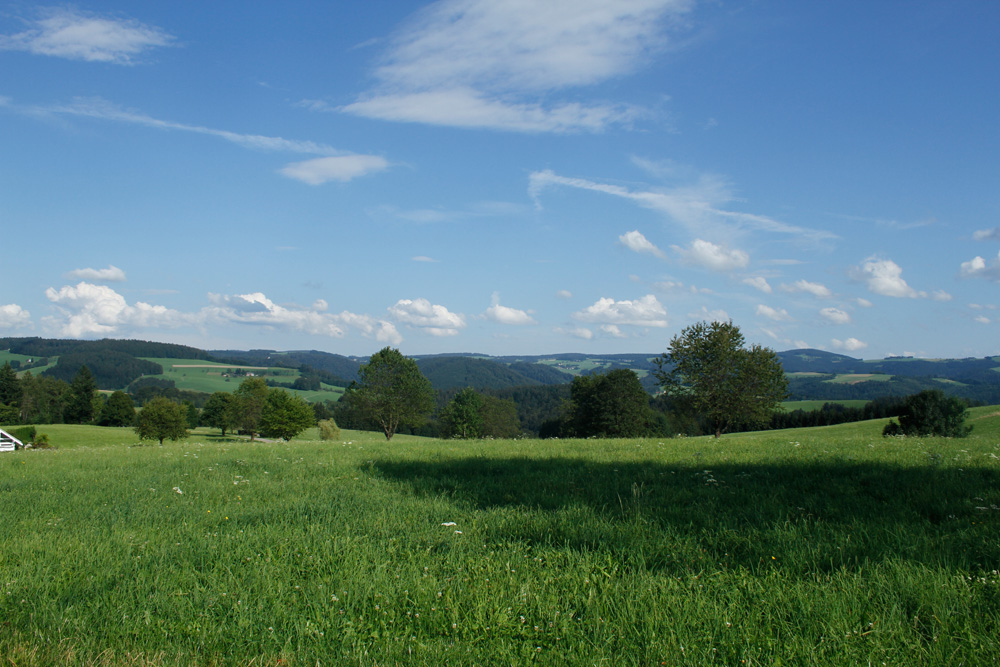 Wetter genießen