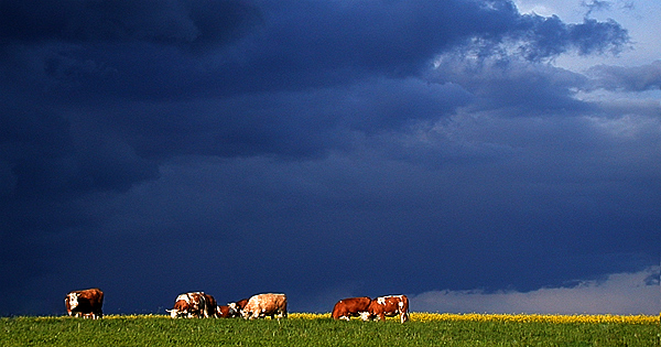 wetter-heute