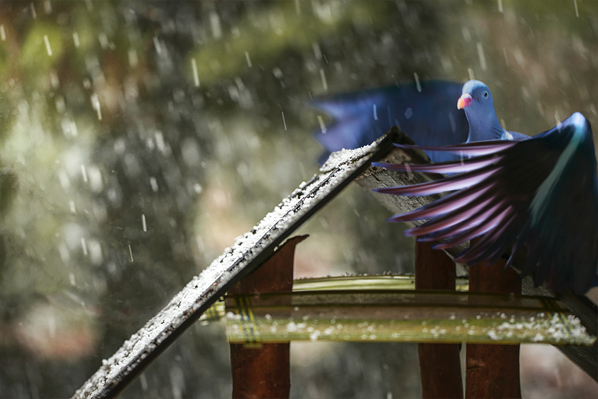 Wetter im April