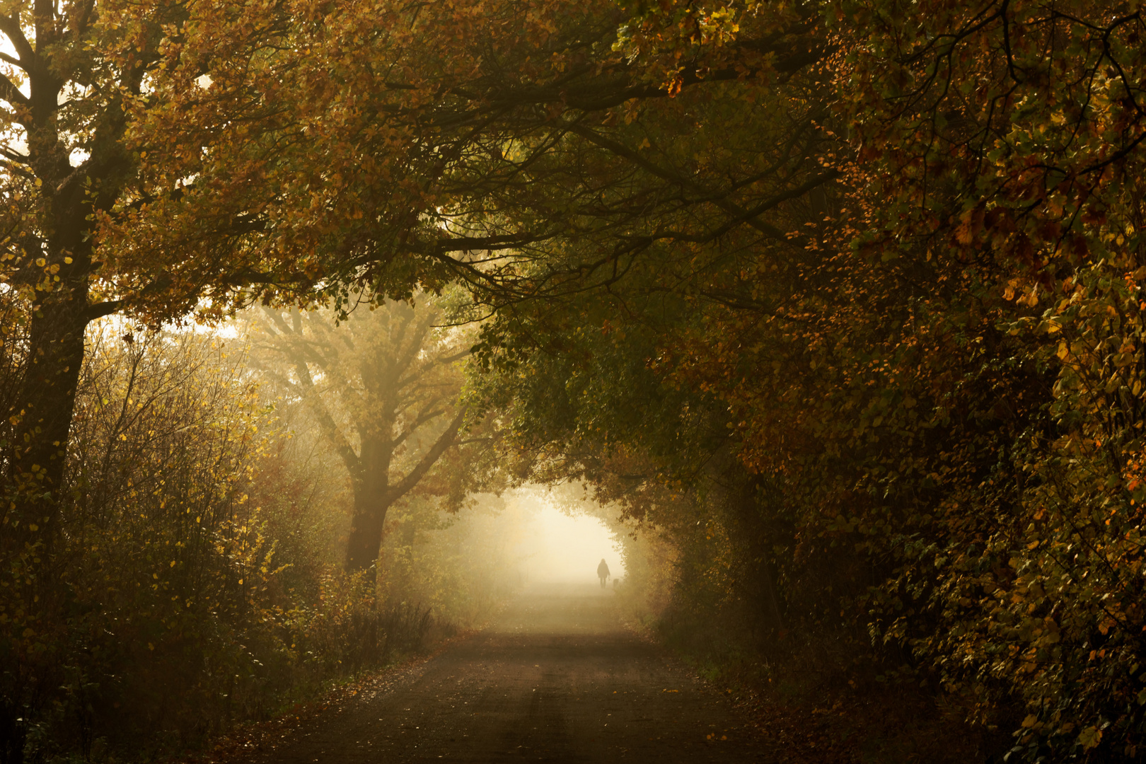 Wetter im Herbst