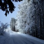 Wetter im Januar / Tiempo en enero / Météo en janvier...06