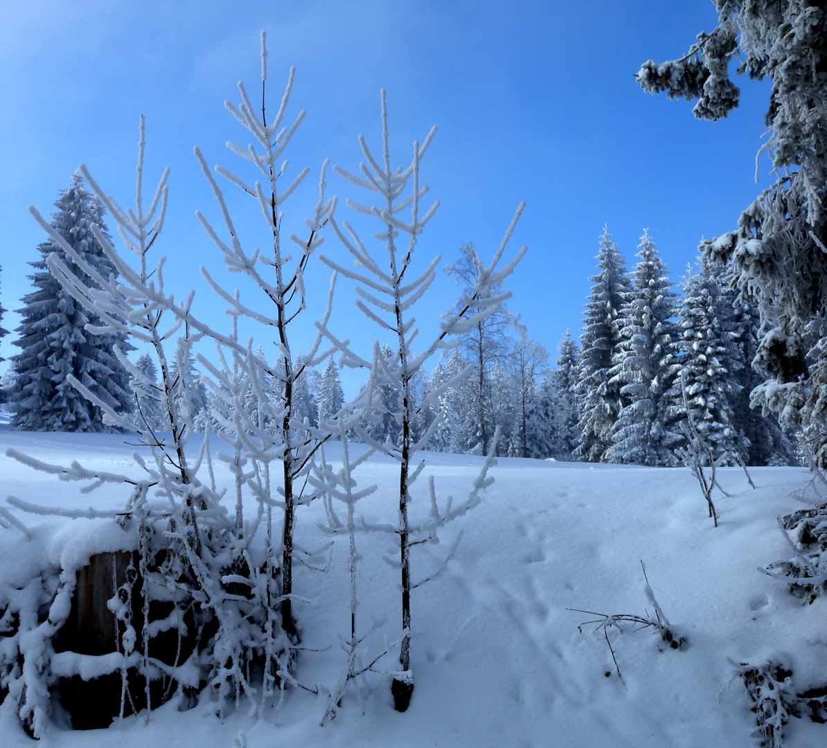 Wetter im Januar / Tiempo en enero / Météo en janvier...07