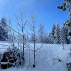 Wetter im Januar / Tiempo en enero / Météo en janvier...07