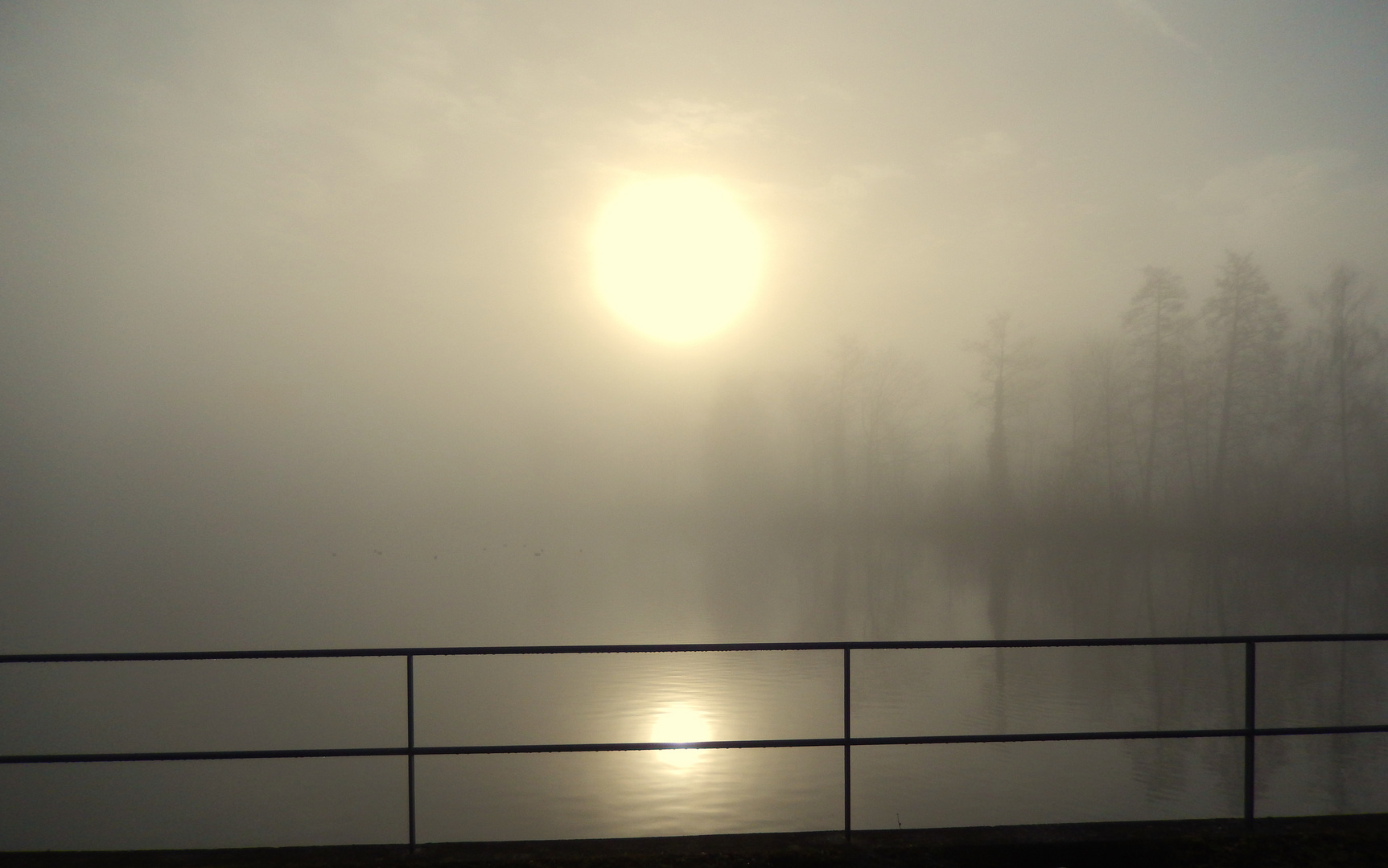 Wetter im Januar / Tiempo en enero / Météo en janvier...08