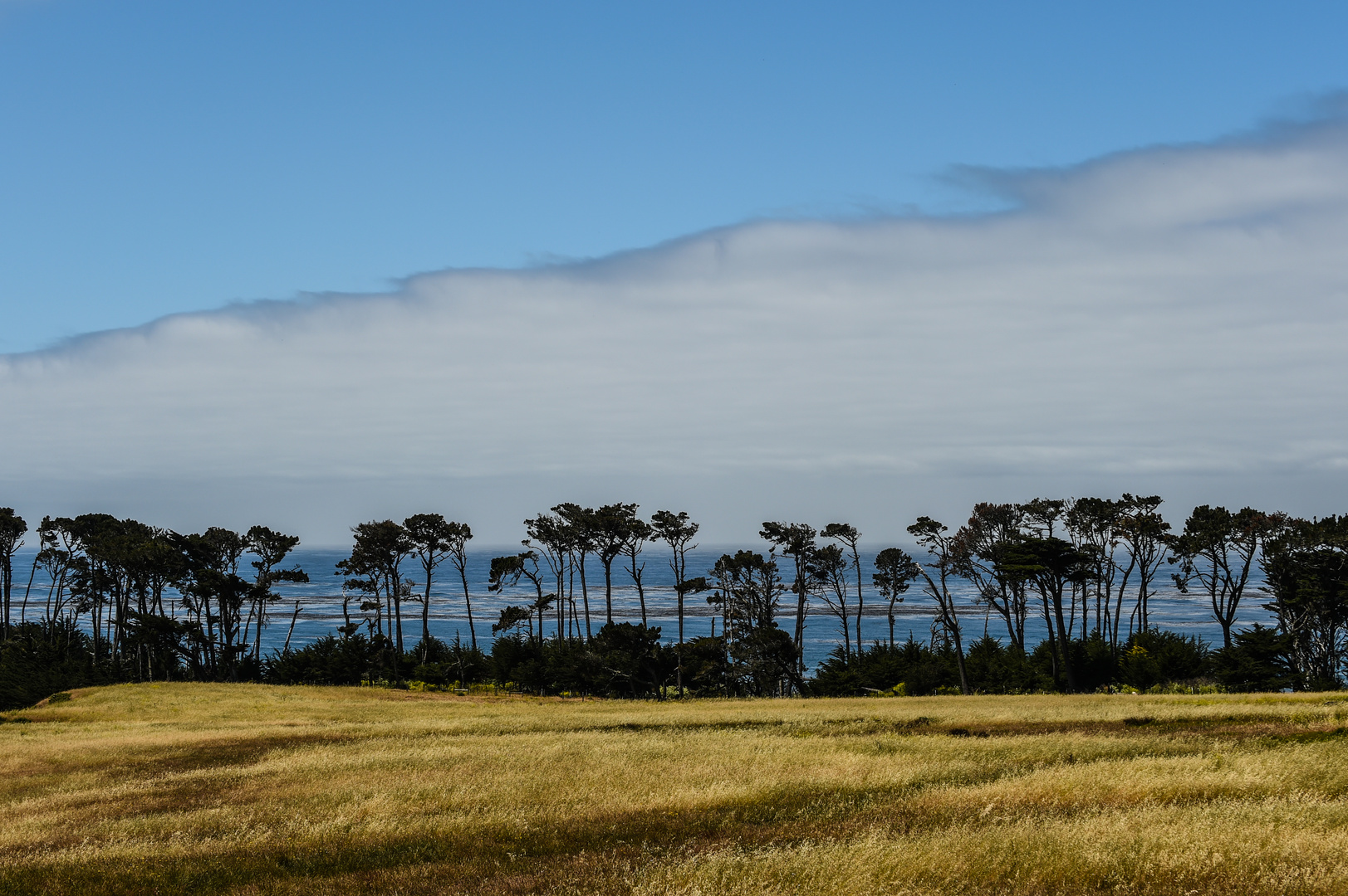 Wetter kommt                 DSC_4558-2