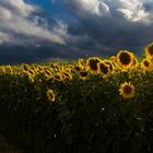 Wetter macht das Landschaftsbild