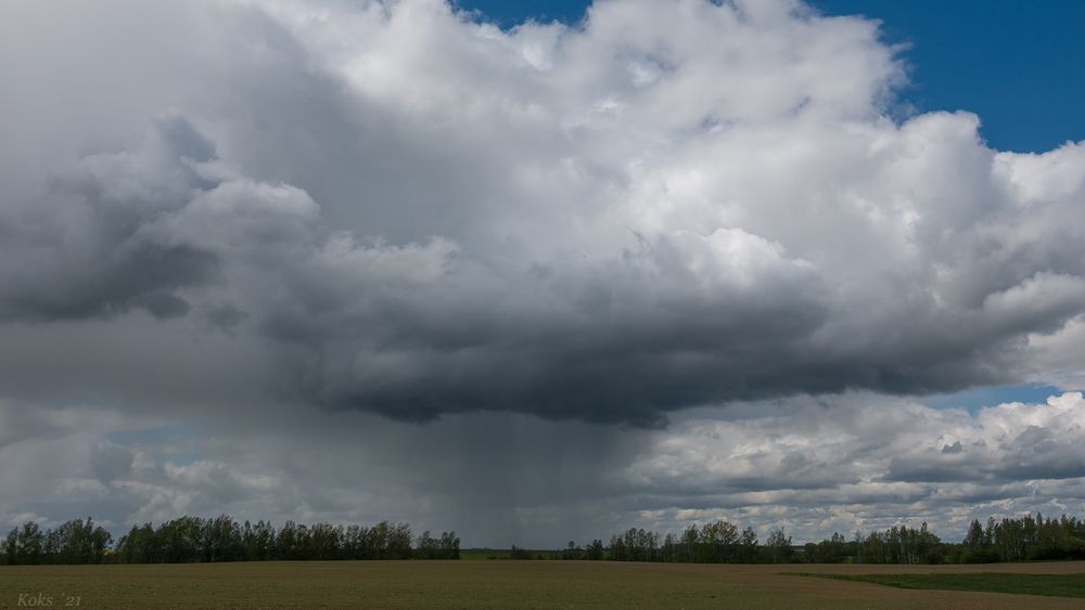 Wetter mit Mucke