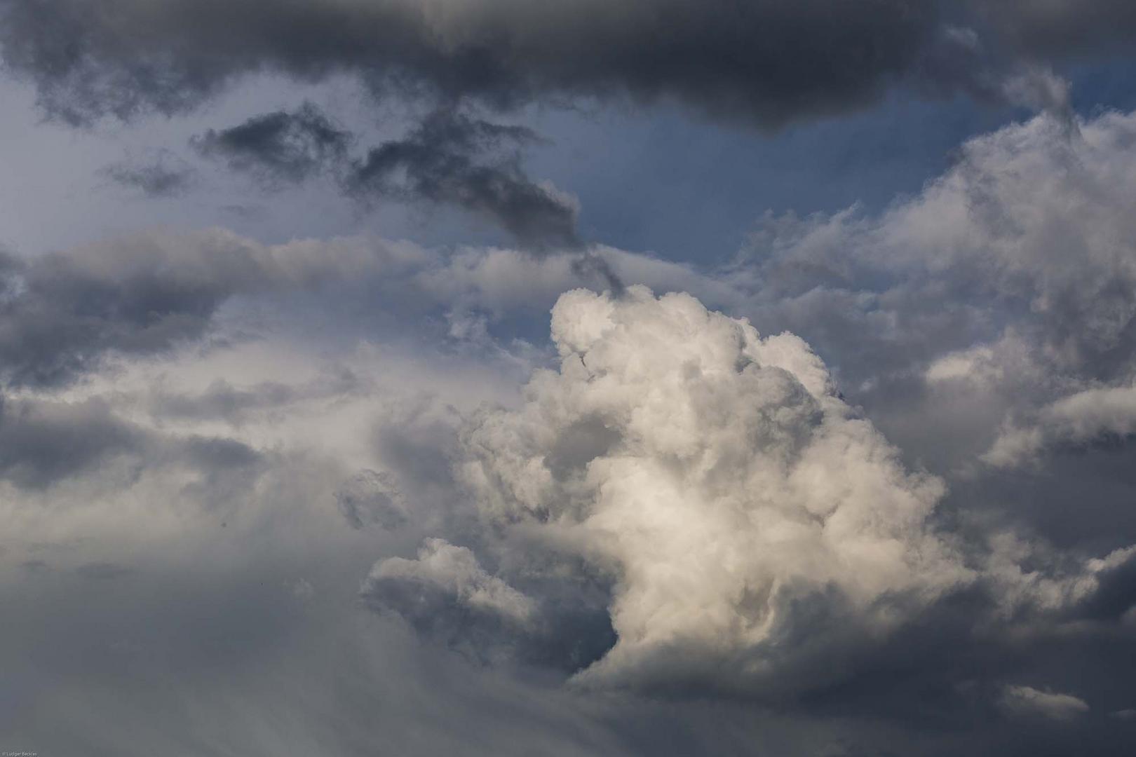 Wetter, Regen, Tropfen, Blumen 