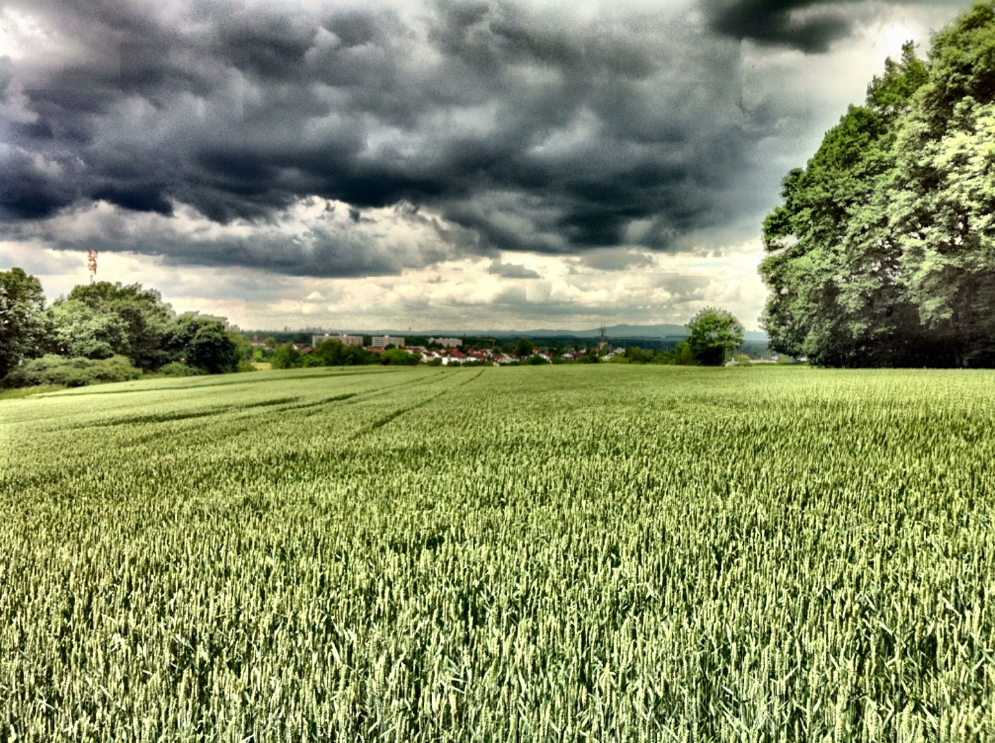 Wetter über Rodenbach