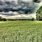 Wetter über Rodenbach