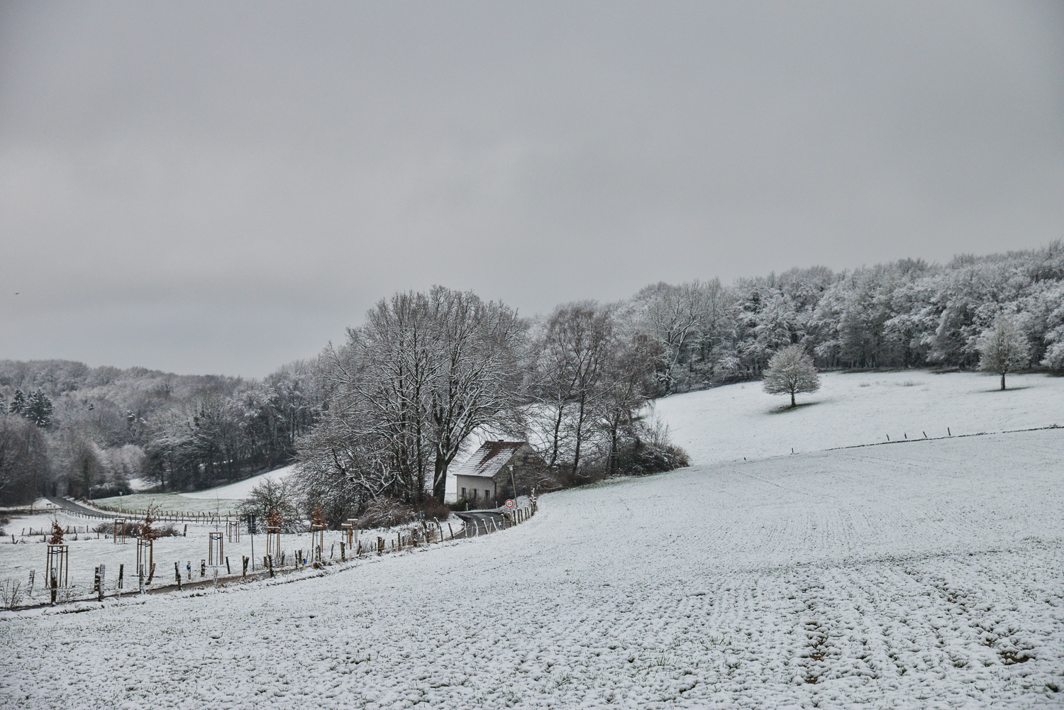 Wetter Vorhersage für kommende Tage. 