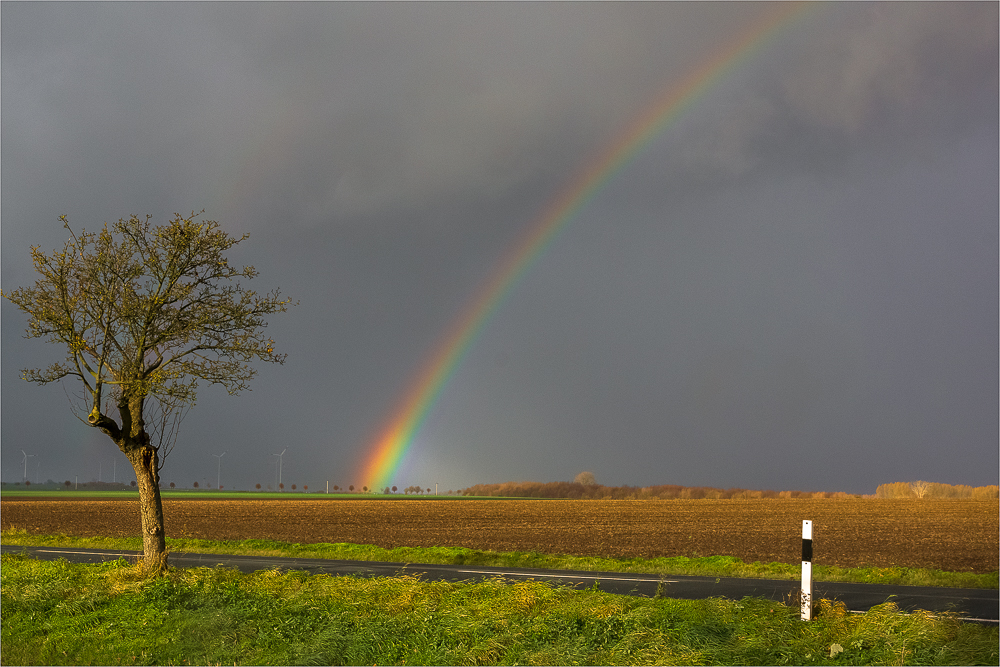 Wetter, Wetter