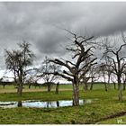 Wetter wie es zur Zeit hier ausschaut   !