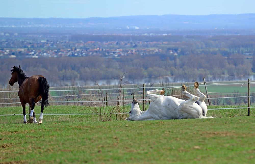 Wetter zum Sonnenbaden