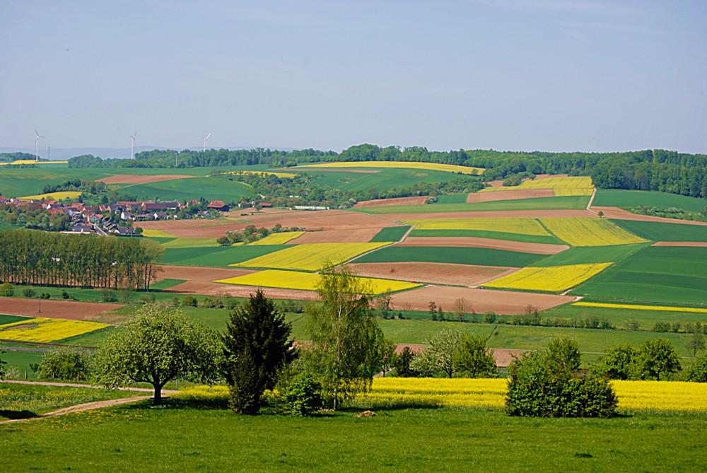 Wetterau von ribana 