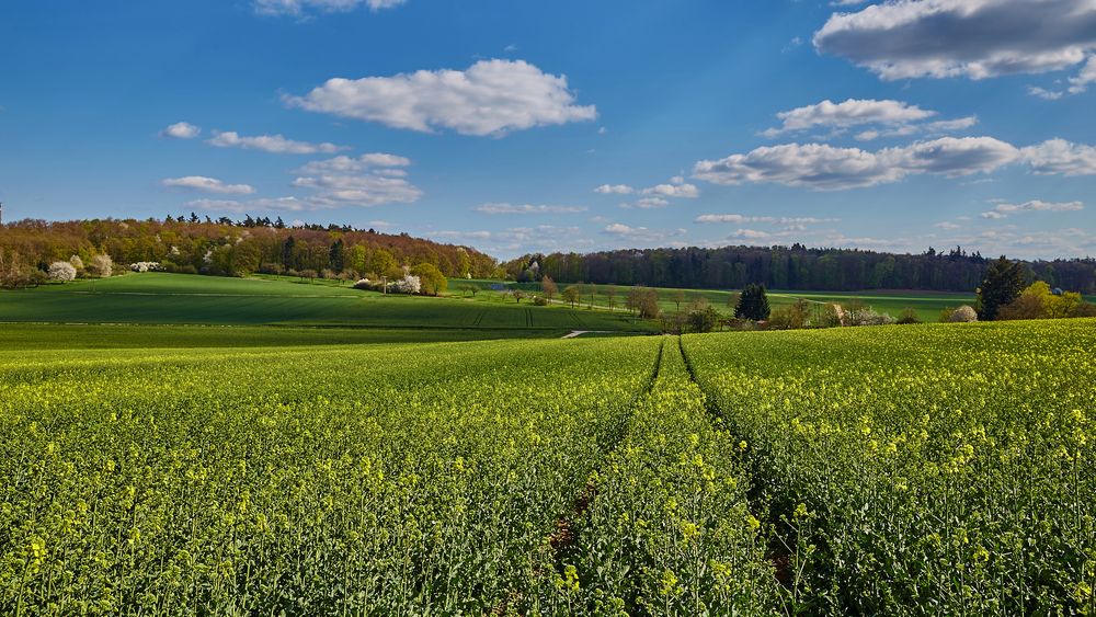 Wetterau