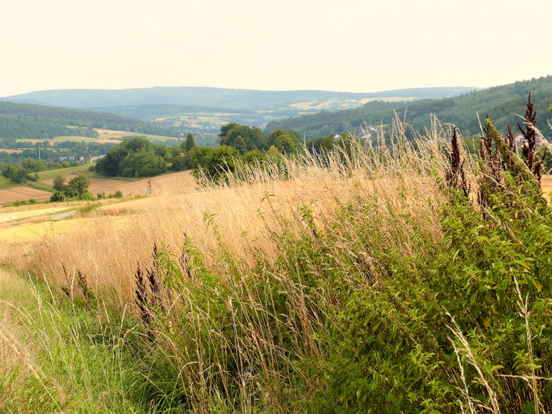 Wetterau