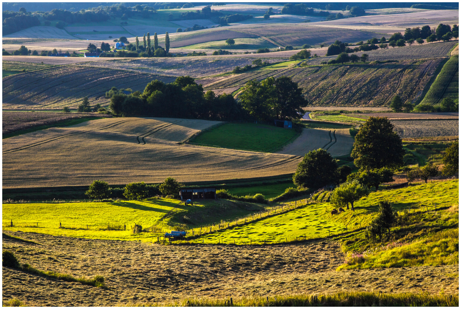 Wetterauer Landschaft