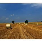 Wetterauer Landschaft