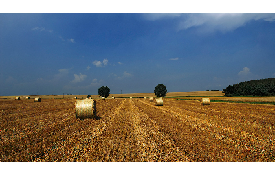 Wetterauer Landschaft