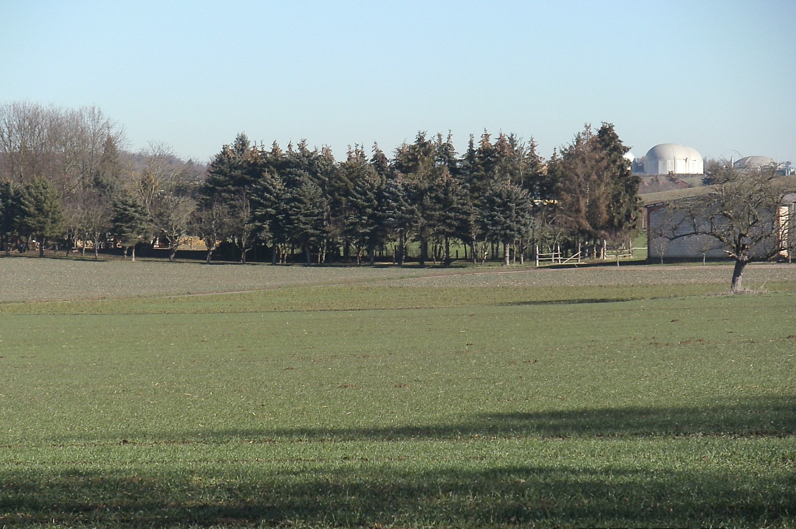 Wetterauiscche Heimat