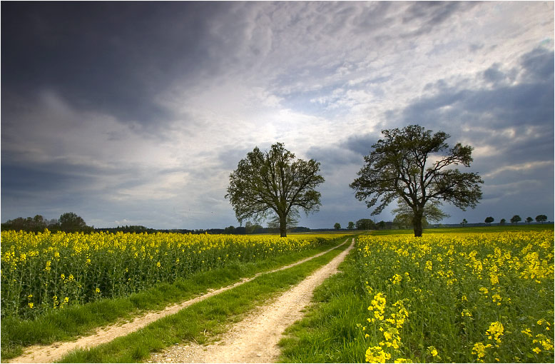 Wetterausblick