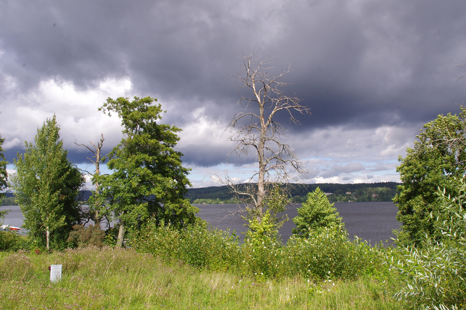 Wetteraussicht