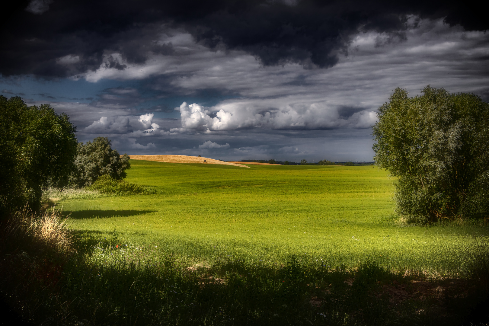 Wetteraussicht für den Sommer 2021