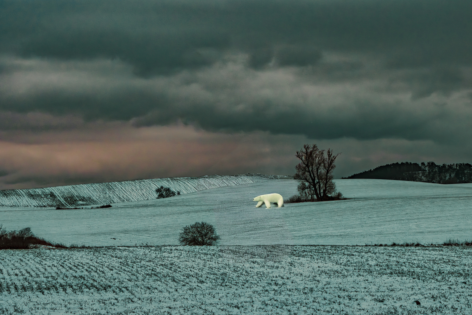 Wetteraussichten für den 30. Februar 2024