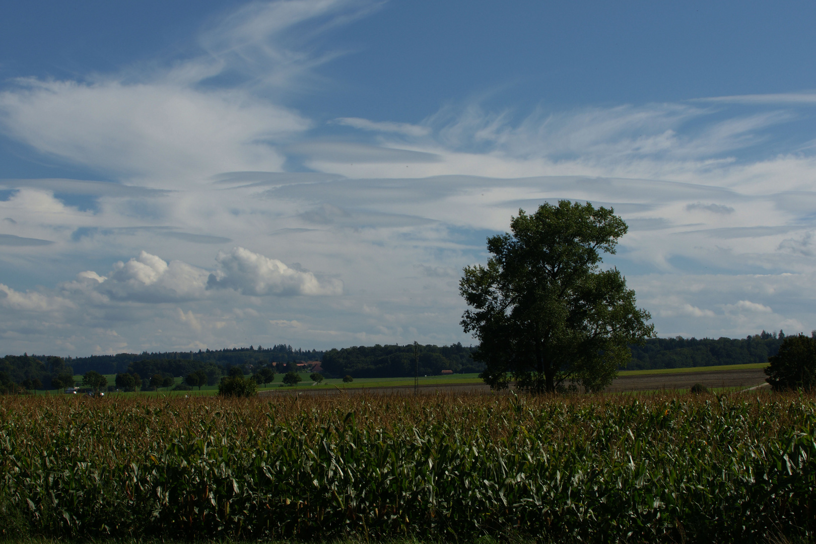 Wetterbeobachtung