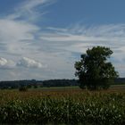 Wetterbeobachtung