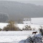 Wetterbericht 10.00 Uhr im Taunus Himmighofen