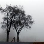 Wetterbericht 11.30 Uhr Himmighofen im Taununs