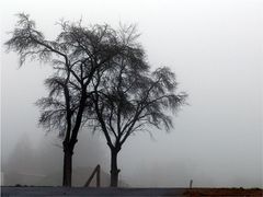 Wetterbericht 11.30 Uhr Himmighofen im Taununs