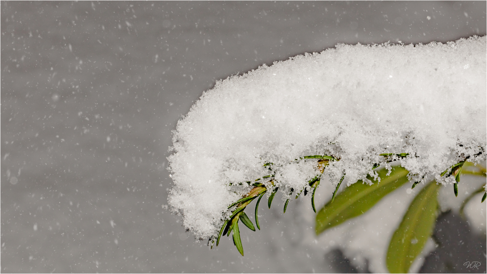 Wetterbericht 18.02.2018