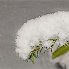 Wetterbericht 18.02.2018