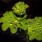 Wetterbericht 23.05.2020, 19 Uhr 