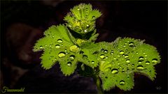 Wetterbericht 23.05.2020, 19 Uhr 