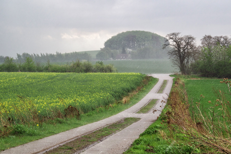 Wetterbericht