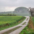 Wetterbericht